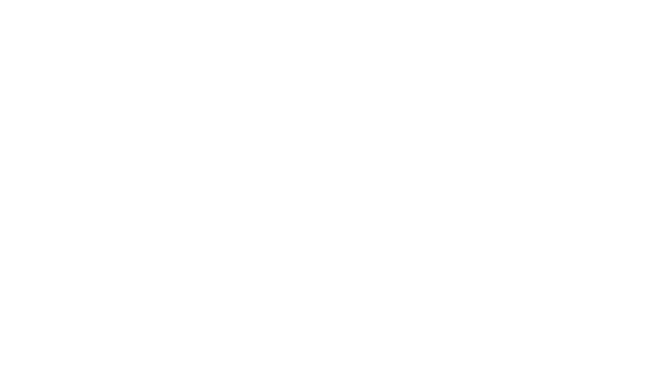 modelwise